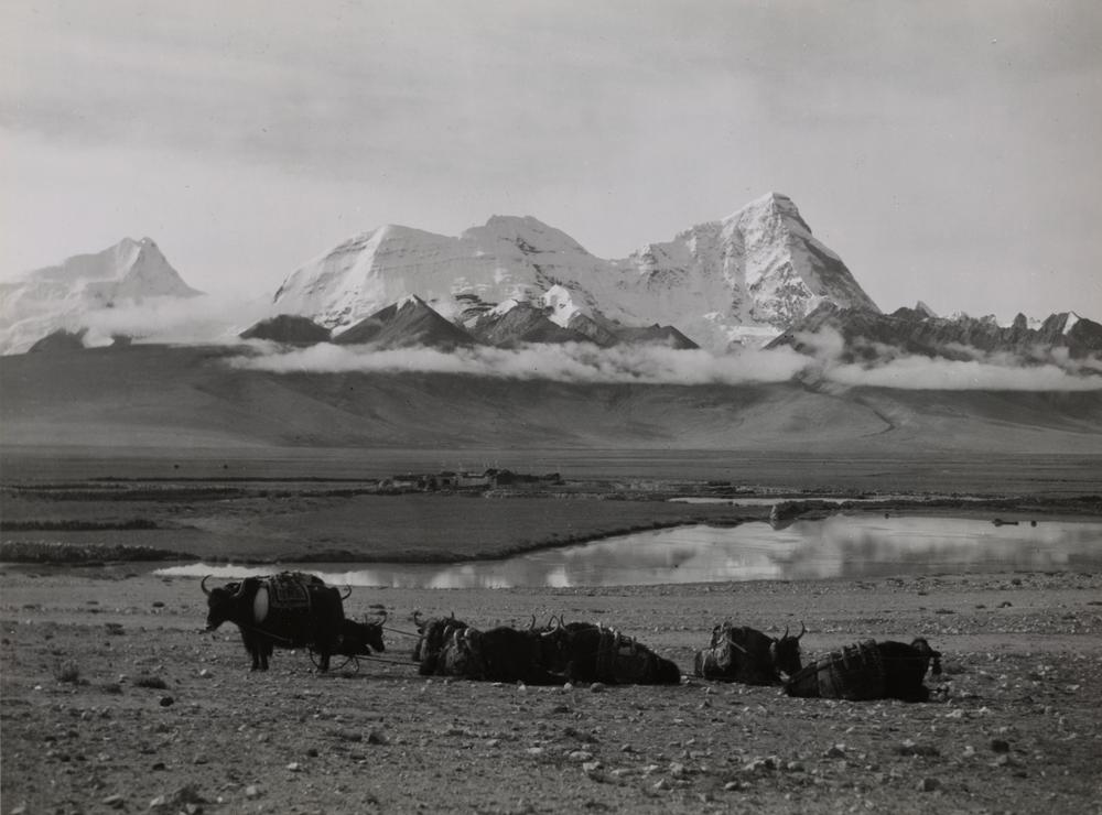 图片[1]-photographic print(black and white); album BM-1986-0313-0.1.238-China Archive